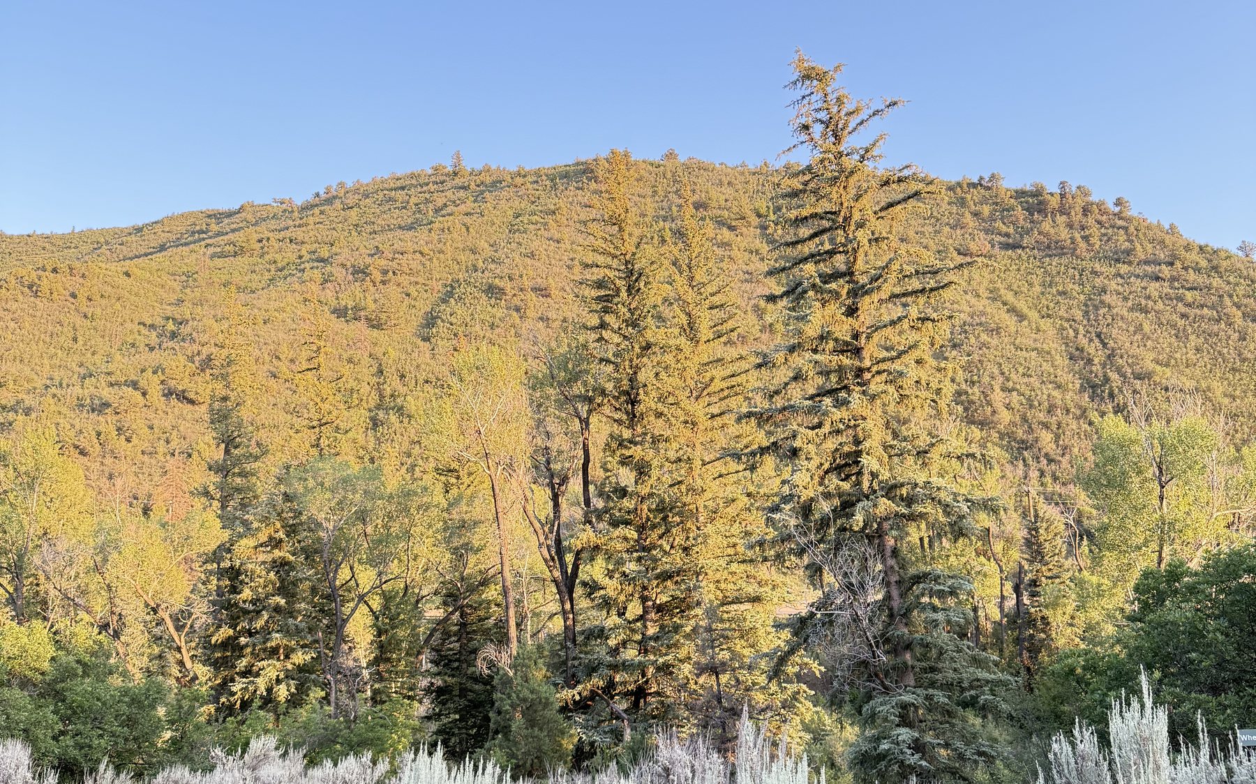 Autumn landscape in the Roaring Fork Valley